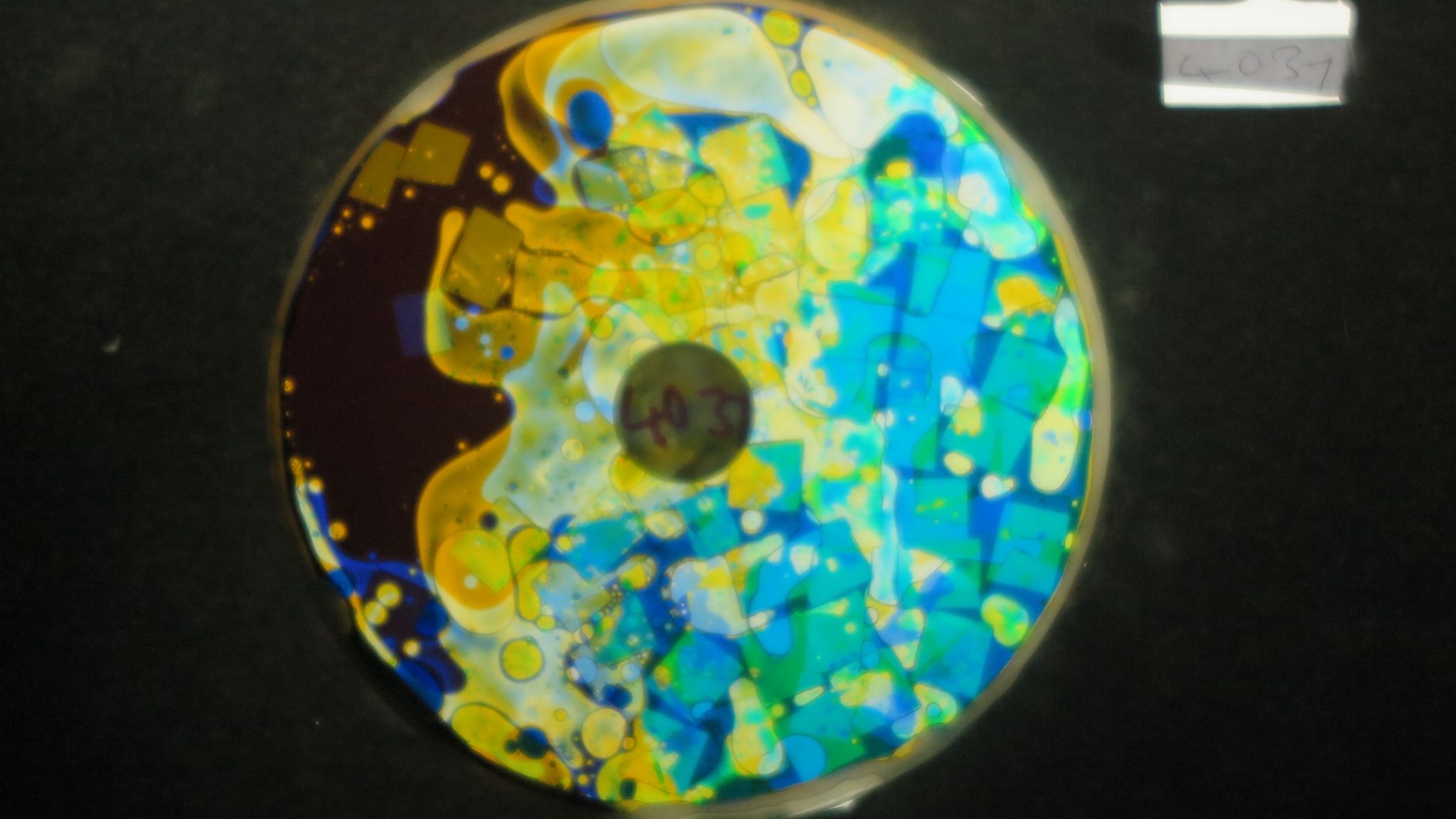 BV4037 bubble vision oil wheel